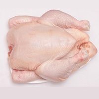 Exportation de poulet entier congelé certifié halal disponible à la vente en gros meilleur prix de vente à bas prix