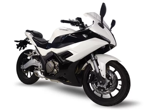2025 YamasakiS 250 Bikes - Product Image 2