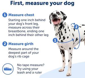 Sedang merah/hitam tidak ada tarikan tali anjing pengendali utama untuk sikap yang lebih baik membantu mencegah hewan peliharaan untuk menarik jalan - Product Image 5