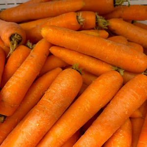 Zanahorias frescas orgánicas recién cosechadas a la venta - Product Image 1