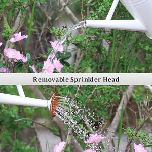 Perfect Pour Elegantes regaderas para sus plantas Nutre la naturaleza: regaderas esenciales para verduras saludables - Product Image 5