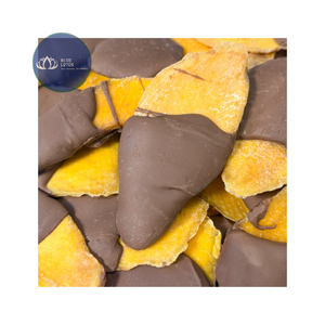 ¡OFERTA ESPECIAL! Mango Deshidratado Dulce Sostenible y de Moda, Recubierto de Chocolate, a Granel, Mezcla Premium de Frutas, Venta al por Mayor desde Vietnam - Product Image 1