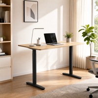 Bureau assis-debout électrique robuste à double moteur dissimulé, 3 niveaux, pieds ovales, hauteur réglable, ergonomique, pour le bureau