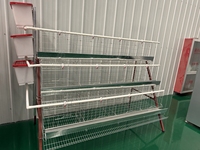 Nouveau système de cages à poules de type A pour l'élevage automatique de poules pondeuses, équipement avicole avec alimentation automatique pour la production d'œufs et gain de place