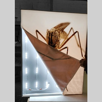 Remplacement graphique personnalisé de 5 mètres à épissure sans couture pour affichage en tissu extensible pour boîte lumineuse, sans cadre, portable et réutilisable