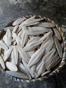 Supplément d'alimentation pour animaux à haute teneur en calcium d'os de seiche naturel du Vietnam pour les escargots de reptiles d'oiseaux-Emballage sous blister marque VIETSEAFARM - Product Image 3