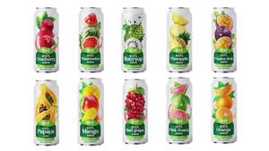 Mango 500ml Bebida de jugo de fruta Vietnam 24 botellas de cartón botella para mascotas Sabor tropical OEM ODM Etiqueta privada Muestra gratis Hot S - Product Image 2