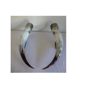 Par de bocina de vaca de alta calidad, regalos marrones y artesanías, bocina de búhos de tamaño personalizado, el mejor diseño, bocina con pulido - Product Image 2