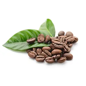 Grano de café tostado Arábica Premium 100% de Bélgica con lista de precios razonables