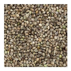 Semillas de Cáñamo Origen Ucrania Alta Calidad Utilizado para Humanos, para Aves, para la Producción de Petróleo - Product Image 1