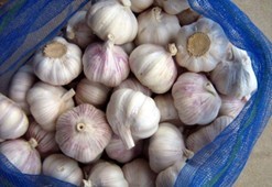 กระเทียมเวียดนามสด Ajo Fresco Ail Frais กระเทียมขาวพรีเมียมแบบหัวเต็ม สำหรับผู้ซื้อระดับโลก - Product Image 6