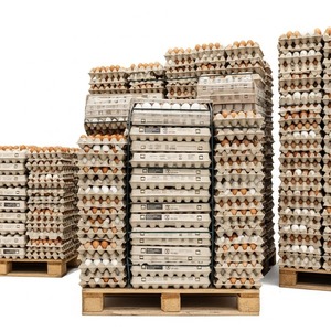 Huevos de gallina listos para la exportación, cáscaras blancas y marrones, granja criada de gran tamaño, cuidadosamente limpiados y empaquetados para suministro a granel - Product Image 1