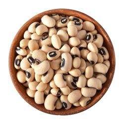 ถั่วแดงออร์แกนิคสำหรับอบแห้งแบบสดใหม่จำนวนเยอะสำหรับตลาดโลก - Product Image 2