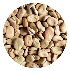 ถั่วปากอ้าคุณภาพสูง - Product Image 1