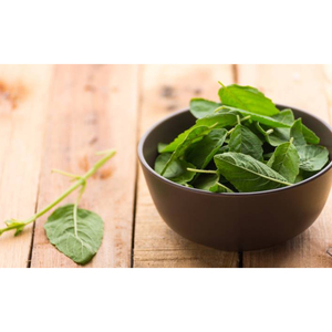 Herbojit International Superior Quality Tulsi Leaf <b>Extract</b> Pure Natural Herbal Ingredient India Available Bulk Vacuum Extraction - Product Image 5