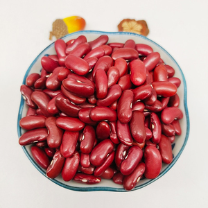High Quality Red Kidney <b>Beans</b> Cleaned and Sorted for Export - Product Image 2