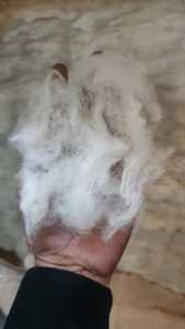 เส้นใยขนแพะธรรมชาติแบบหวี ผลิตตามสั่ง สำหรับร้านขายเส้นด้ายและใยสังเคราะห์ สำหรับผู้ผลิตเส้นด้ายและผู้ทอผ้า - Product Image 3