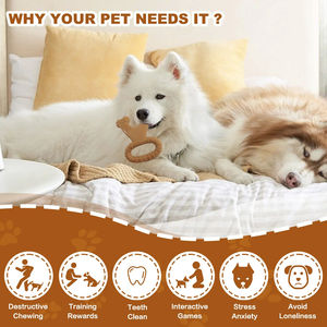 Safety Aggressive Bite Resistance Durable Eco-Friendly Rubber Cartoon Teeth Cleaning Non-Toxic <b>Interactive</b> Dog Chew Bone Beef - Product Image 5