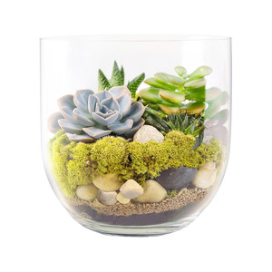 VBW3108 - แจกันทรงชาม Peninsula - 8 นิ้ว - Product Image 4
