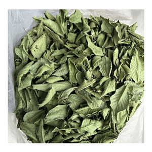 Feuilles de goyave séchées, matière première naturelle de feuillage de goyave, adaptée à la préparation de tisanes et au traitement des boissons, provenant du Vietnam. - Product Image 2