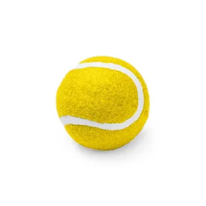 Europio Pallina Personalizzata per Cani, Gadget Promozionali Personalizzati per Animali Domestici - Product Image 1