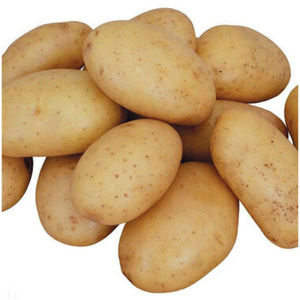 Légumes frais les plus vendus, pommes de terre personnalisées en gros, prix compétitif disponible - Product Image 1