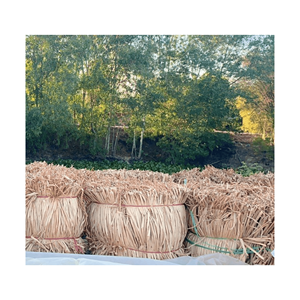 DRIED WATER HYACINTH MATERIAL FOR HANDICRAFTS/ DRIED WATER HYACINTH WITH HIGH QUALITY AND BEST PRICE FROM 99GD - Product Image 1