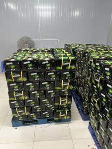 มะนาวไร้เมล็ดคุณภาพระดับพรีเมี่ยมสดส่งออกจากเวียดนามสำหรับตลาดโลกอายุการเก็บรักษาที่ยาวนานรสชาติฉ่ำขายส่งจำนวนมาก - Product Image 3