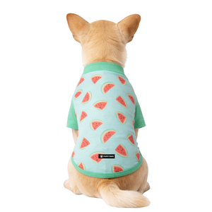 เสื้อกันแดดสำหรับสุนัข ลายแตงโม น้ำหนักเบา ป้องกันรังสียูวี เสื้อยืดสำหรับสัตว์เลี้ยงฤดูร้อน เนื้อผ้านุ่ม ยืดหยุ่น ระบายอากาศได้ดี เสื้อผ้าสำหรับสุนัข - Product Image 2