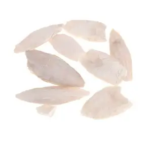 cuttlefish - whole product, not broken, good quality, completely natural