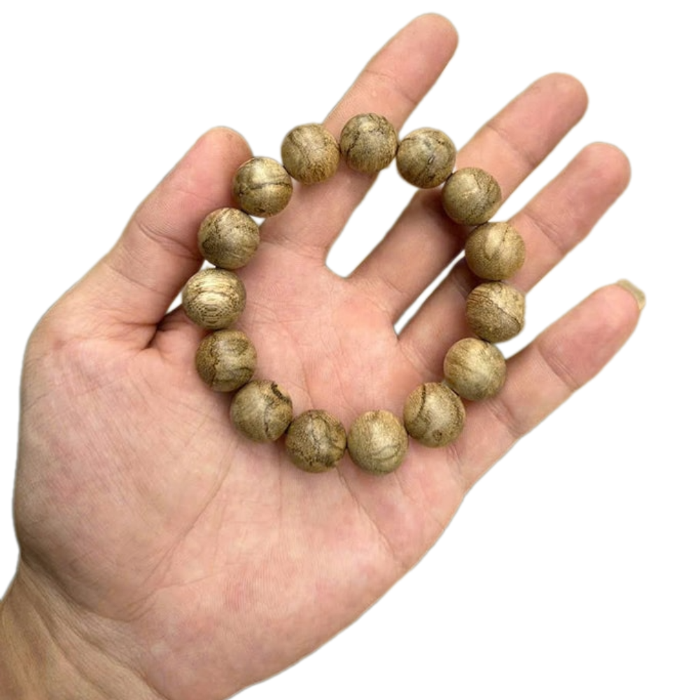 ธรรมชาติ