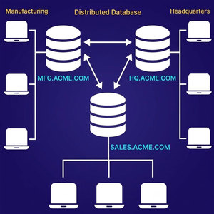 Servicios de bases de datos personalizados para la organización y gestión de datos, y soporte de flujo de trabajo de bases de datos para aplicaciones empresariales - Product Image 2