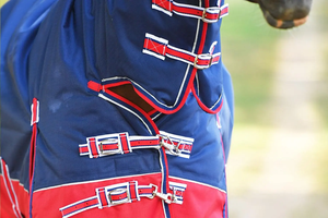 600D Alpine Combo Turnout Rug 200g Fill Imperméable et Respirant Fabriqué en Inde - Product Image 3