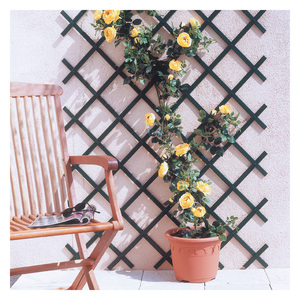 Barra Estensibile per Arrampicatori Mt.2 X 1 Colore Verde - Product Image 1