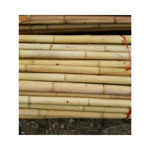 Экологически чистый 100% натуральный тростник оригинальный бамбуковый тростник бамбуковые палки для сельского хозяйства