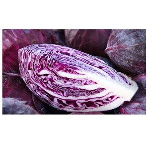 Repollo rojo fresco a granel Repollo rojo de alta calidad Perfecto para uso al por mayor Frescura garantizada a precios asequibles - Product Image 2