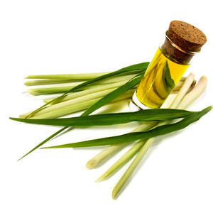 Aceite esencial de citronela orgánico natural puro 100% al por mayor, ingrediente de árbol de té, repelente de mosquitos GMP, OEM disponible - Product Image 1