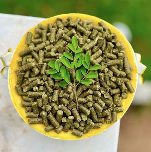 High Quality Moringa Leaf Pellets Competitive Price Animal Feed for Cattle Pigs Direct Export Whole Sale Suppliers Good Packing - Product Image 1