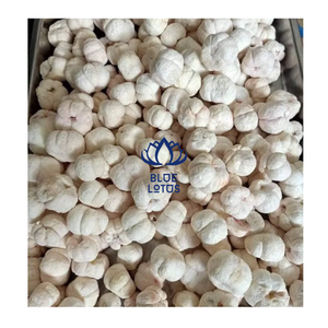 El mejor mangostán liofilizado de Vietnam ofrece una combinación perfecta de dulzura exótica y textura crujiente - Product Image 1