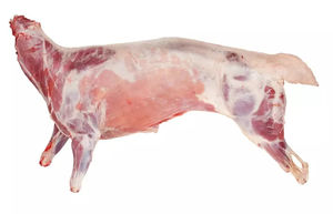 Carne de Cordero Halal Fresca Congelada de Alta Calidad, Caja de Cola de Hueso de Cordero, Carcasa Completa de Oveja para Distribuidores Globales que Buscan Carne Confiable - Product Image 3