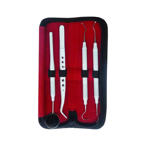 Kit d'examen dentaire de base Surtechs certifié CE, ensemble de diagnostic dentaire manuel, classe I, réutilisable, garantie 1 an - Product Image 3