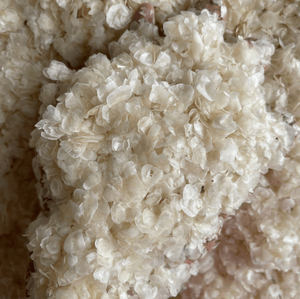 Écailles de poisson, source pure de collagène et de gélatine naturels - Product Image 2