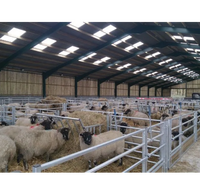 Bâtiment préfabriqué pour moutons et bétail, grande surface, structure en acier antirouille, maison pour chèvres