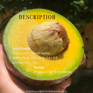 Purée et pulpe d'avocat frais 100% sans sucre, surgelée |   Fabricant vietnamien |   Exportation en gros pour les importateurs - Product Image 2
