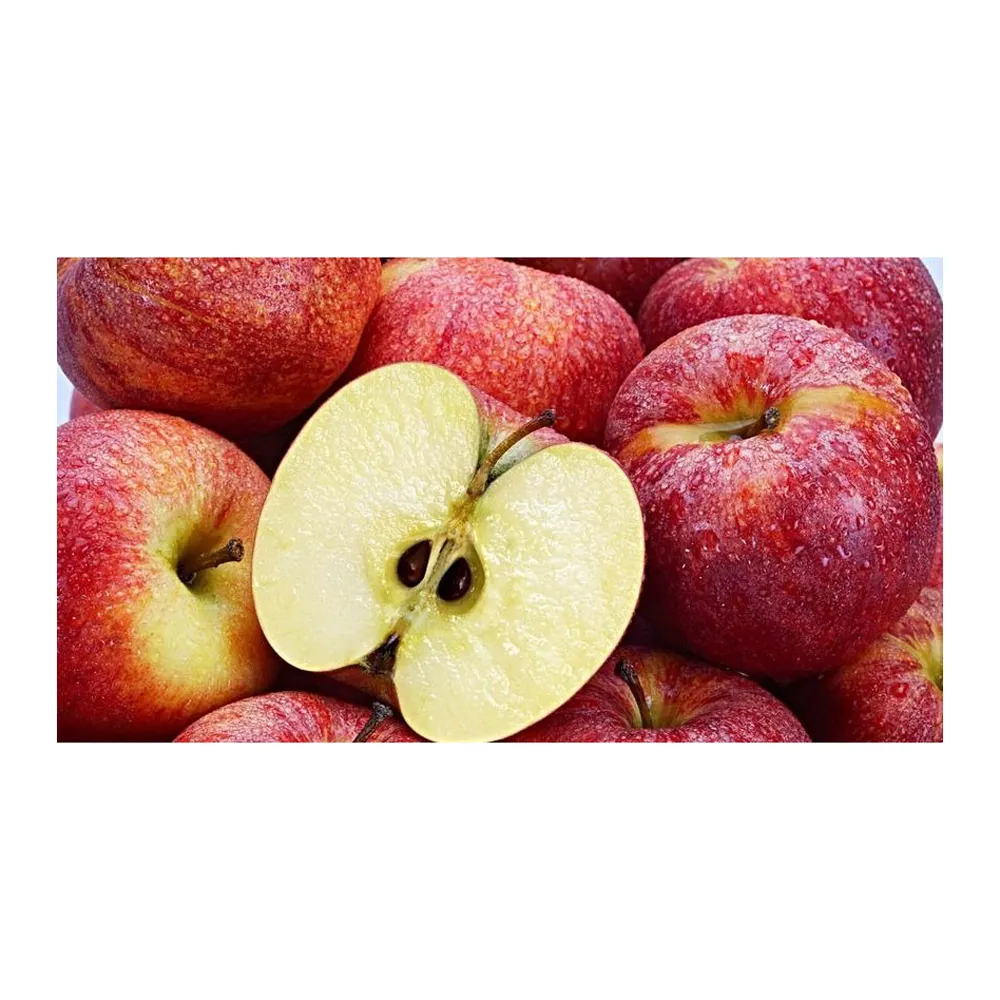 איכות פרימיום תפוח אדום טרי פוג 'י טרי תפוח עץ טרי בתפזורת