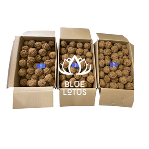 CUERDA DE COCO DE ALTA CALIDAD PRECIO BARATO CUERDA DE COIR MASTICABLE PARA PERROS DE LOTO AZUL VIETNAM JUGUETE PARA MASCOTAS 2025 MASCOTAS MS.CHERISH - Product Image 1