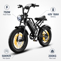 Bicicleta Eléctrica de Montaña Pro 750W, 50KM/H, 48V 18AH, Batería de Grado Automotriz, Neumático Grueso de 20 Pulgadas, Alto Rendimiento, Todoterreno