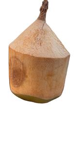 CAX-5 Coconut Peeling Machine/young Coconut Peeling Machine PRICE - Product Image 5