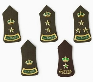 Épaulettes d'épaule unies avec logo personnalisé, patch de broderie, accessoires d'uniforme, épaulettes, épaulettes en tissu tissé - Product Image 5