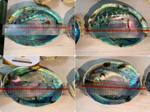 Coquilles d'ormeau utilisées pour l'emballage cadeau personnalisé Les coquilles d'ormeau apportent une présentation d'inspiration marine - Product Image 4